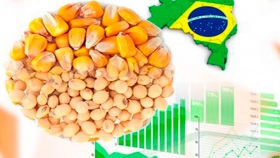 FAESC: Incrementar la producción de maíz es un desafío y una prioridad en SC