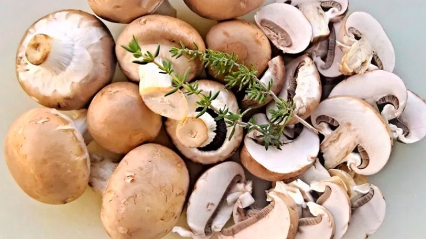 Consumir hongos reduce el riesgo de padecer cáncer de próstata