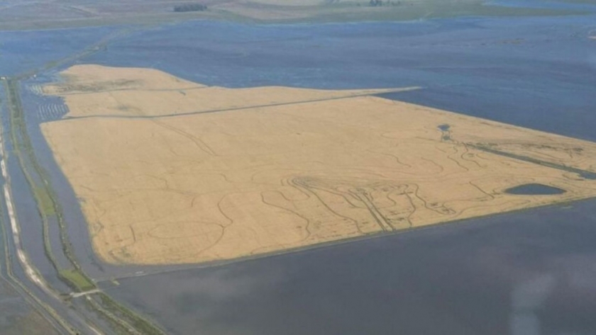 Uruguay enfrenta inundaciones y decretan la emergencia agropecuaria de 120 días