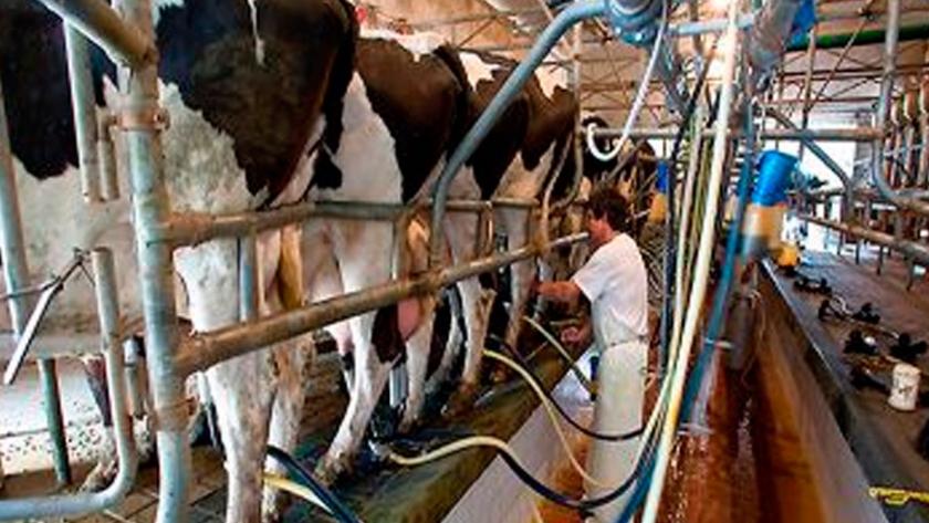Crean un fondo de $150 millones para financiar a productores de leche