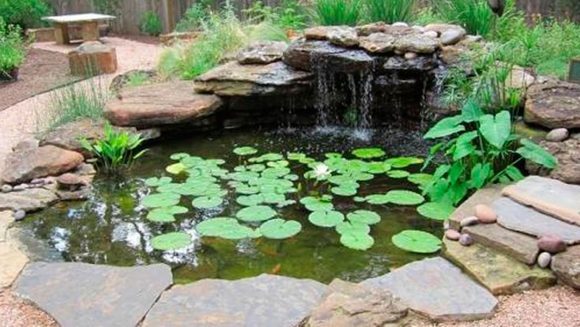 Consejos para un buen mantenimiento de tu estanque