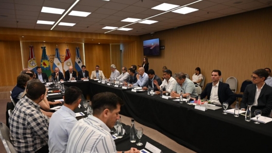 Cónclave Agropecuario Regional: Ahorro de USD 25 Millones por Reducción de Vacuna Antiaftosa y Agenda Sanitaria Federal