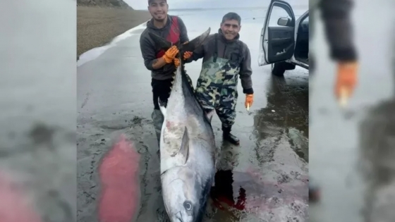 <Pescadores de Río Gallegos capturaron un atún de 250kg