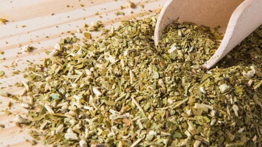 Expansión de la yerba mate argentina: exportaciones crecen impulsadas por cosechas récord