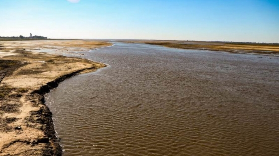 Cuenca Paraná-Paraguay: cómo producir ante un escenario de bajante