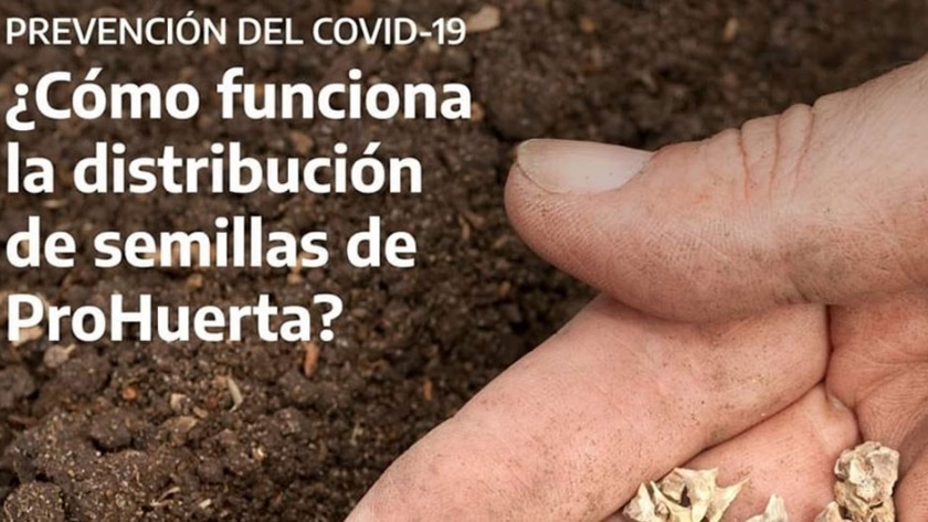 ¿Cómo funciona la distribución de semillas de ProHuerta en el marco de la prevención del COVID-19?