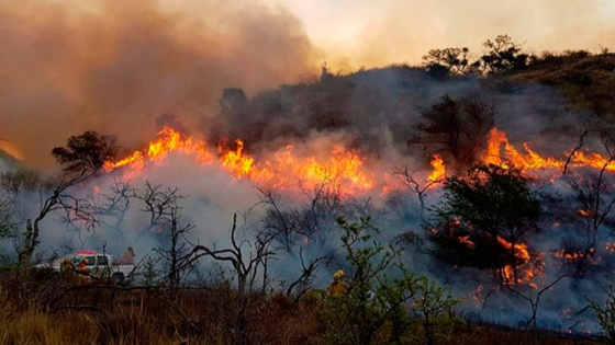 Incendios en Córdoba: oficializan la ampliación de zonas en Desastre Agropecuario