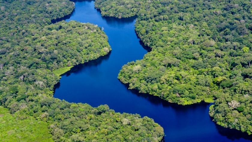 Argentina expande proyectos de carbono: crecimiento del 2000% y nuevas normativas en marcha