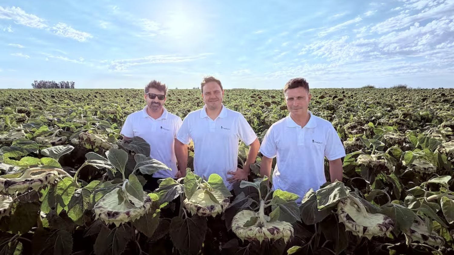De empresa familiar a referente: el modelo con el que Pelayo Agronomía apuesta a innovar en el alquiler de tierras
