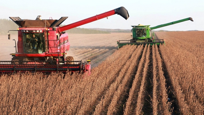 China promoverá la I + D en organismos agrícolas modificados genéticamente