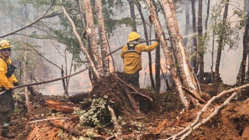 Estado de situación del incendio en la Reserva Corazón de la Isla