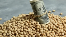 Lanzan dólar agro: Massa confirmó un dólar soja por 30 días y un dólar para economías regionales por tres meses