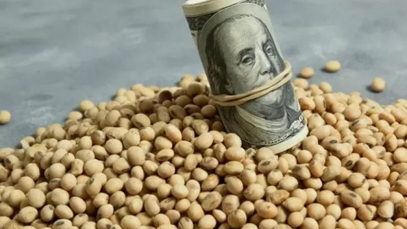 Lanzan dólar agro: Massa confirmó un dólar soja por 30 días y un dólar para economías regionales por tres meses