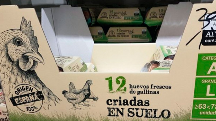 ¿Comprar huevos ecológicos es sinónimo de comprar huevos de gallinas ponedoras saludables? 