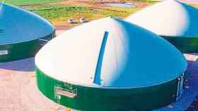 El negocio de la biomasa, sustentable y rendidor