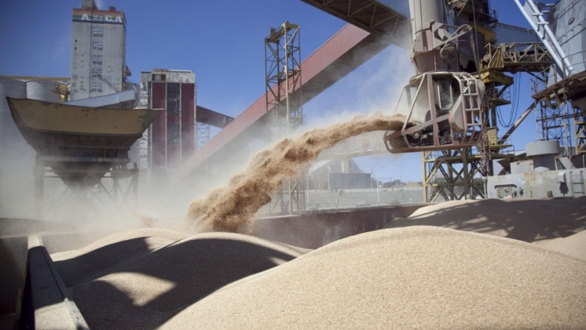 Harina de soja: cae el precio internacional y afecta a las exportaciones argentinas