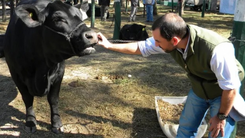 El Servicio Nacional de Sanidad y Calidad Agroalimentaria (Senasa) realizó un llamado a los productores a declarar las novedades sanitarias.