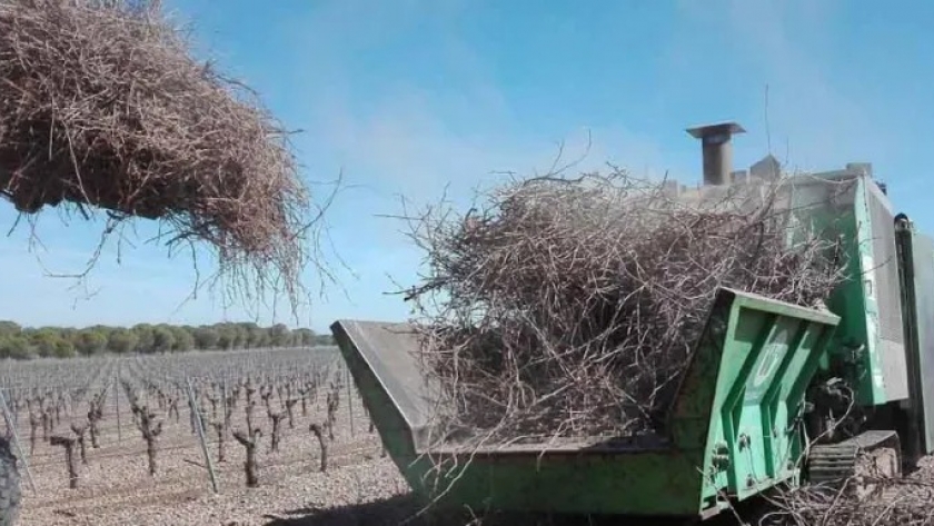 CADER firmó un convenio con Río Negro para impulsar las energías renovables