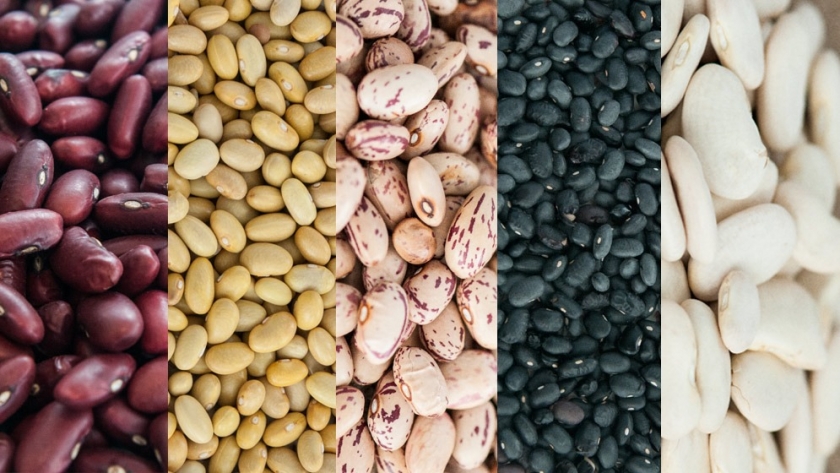 Porotos: la Argentina se posiciona como uno de los mayores exportadores del mundo