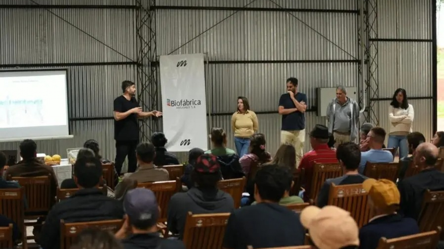 Misiones impulsa la diversificación frutícola en 15 municipios