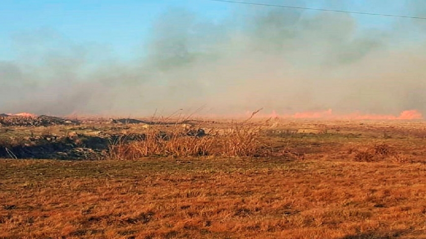 Las universidad participarán en la readecuación ambiental en el Delta