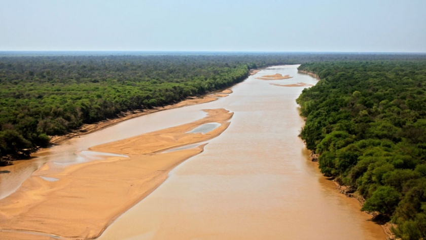 Se investiga la posible mortandad de peces en el río Bermejo