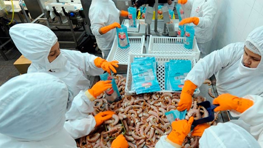 Consumidores valoran la sostenibilidad de los productos de mar