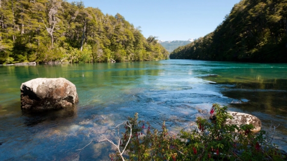 Aguas turquesas y paisajes imponentes: el secreto mejor guardado del Parque Nacional Los Alerces