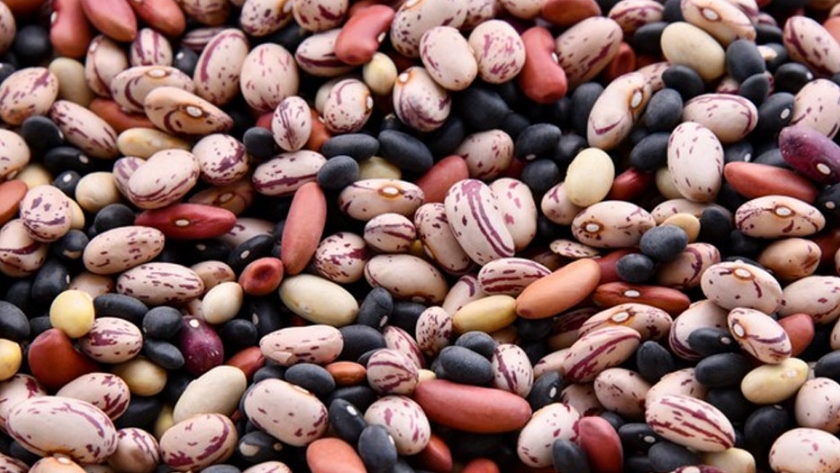 Legumbres, aliadas de una alimentación saludable