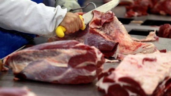 <La producción de carne sigue mejorando en Paraguay y Mexico podria ser el proximo destino