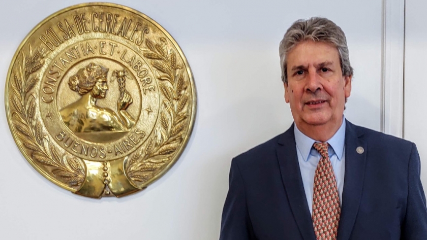 Exportaciones de trigo: la Argentina pierde participación global y competitividad