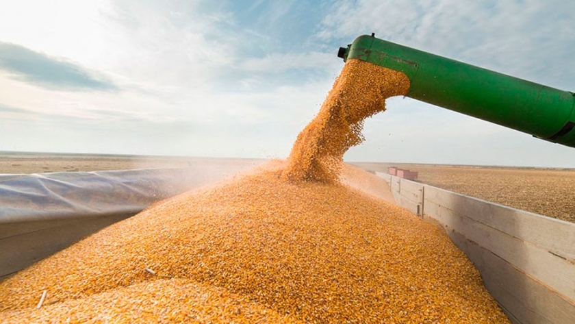 Cayó casi 9% el ingreso de dólares por las liquidaciones del agro en enero