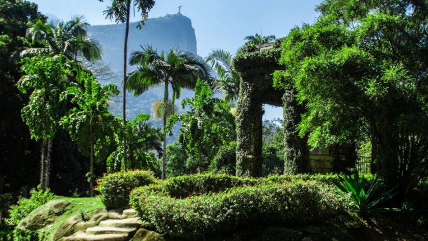 Jardín Botánico de Río de Janeiro: uno de los centros de investigación botánica más importantes del mundo