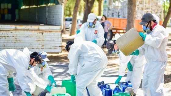 Sanidad Vegetal alcanzó un recupero récord de 11.029 envases fitosanitarios