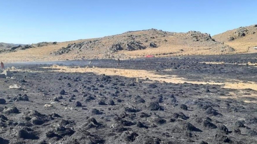 En los últimos incendios, el fuego arrasó cerca de 14.000 hectáreas