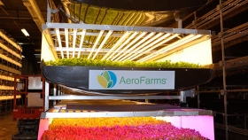 AeroFarms, la granja vertical de mayor producción en el mundo
