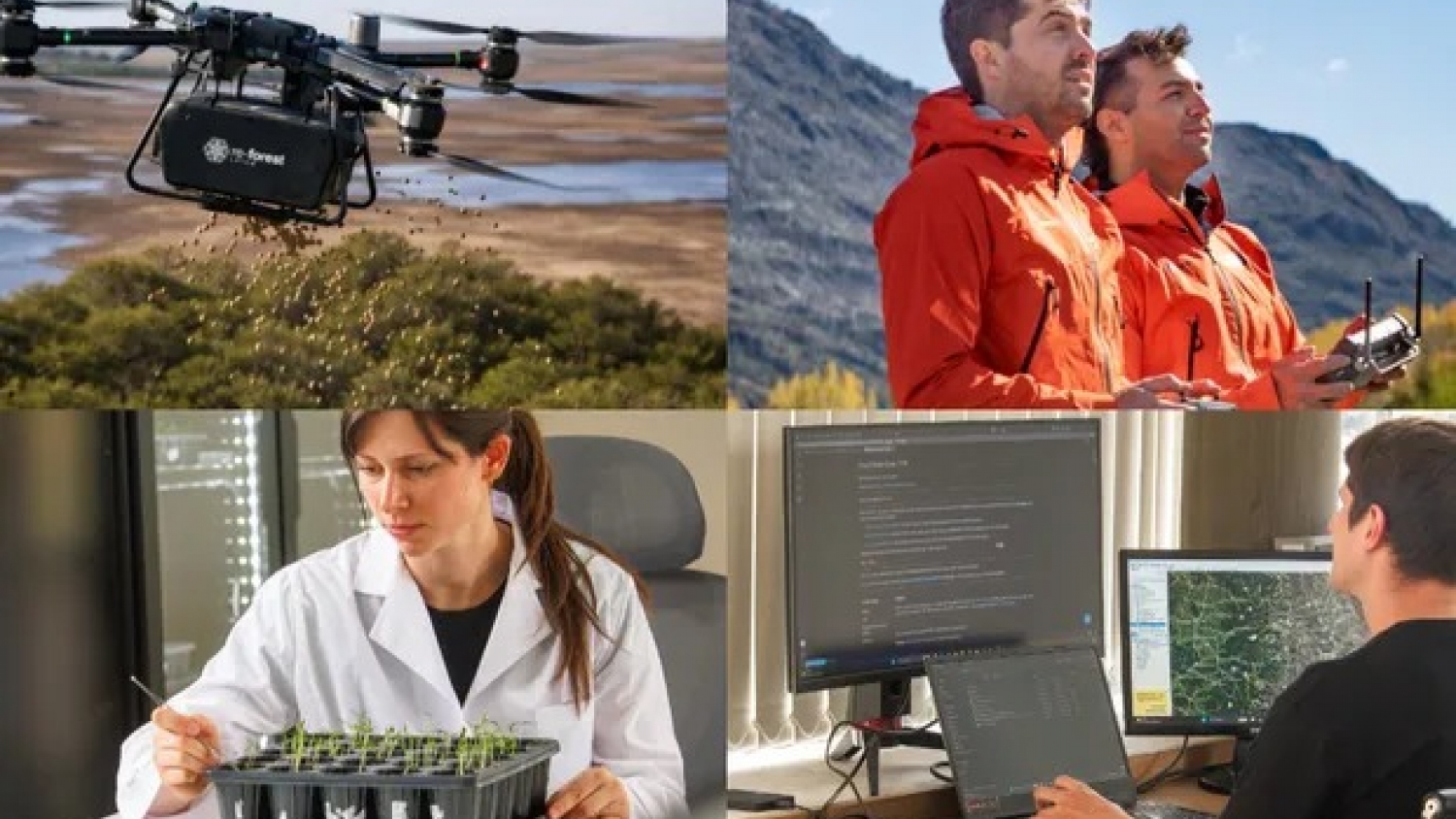 Drones y semillas tratadas: argentinos buscan restaurar bosques