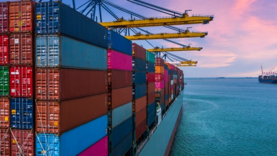 Argentina suma a Sudáfrica como destino para el colágeno bovino