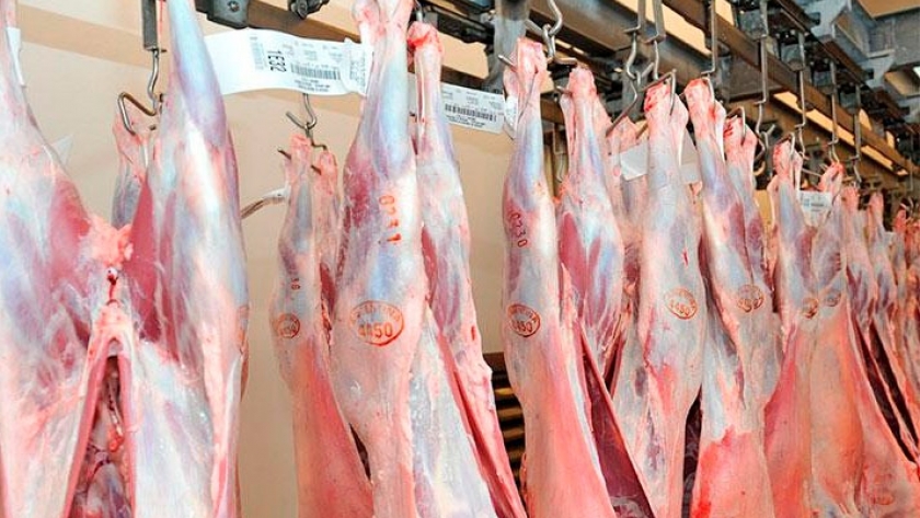 Desafíos y oportunidades en las exportaciones de carne argentina