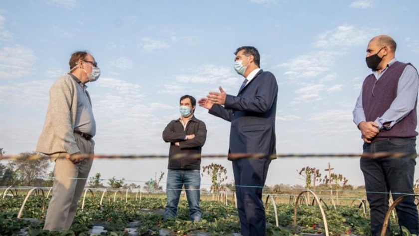 "La agroindustria será el símbolo de la recuperación económica del Chaco", dijo Capitanich en recorrida por siembra de frutillas en Makallé