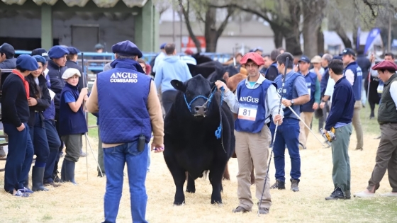 <Semana Angus en Cañuelas: un evento clave para la ganadería con nuevas oportunidades de negocios