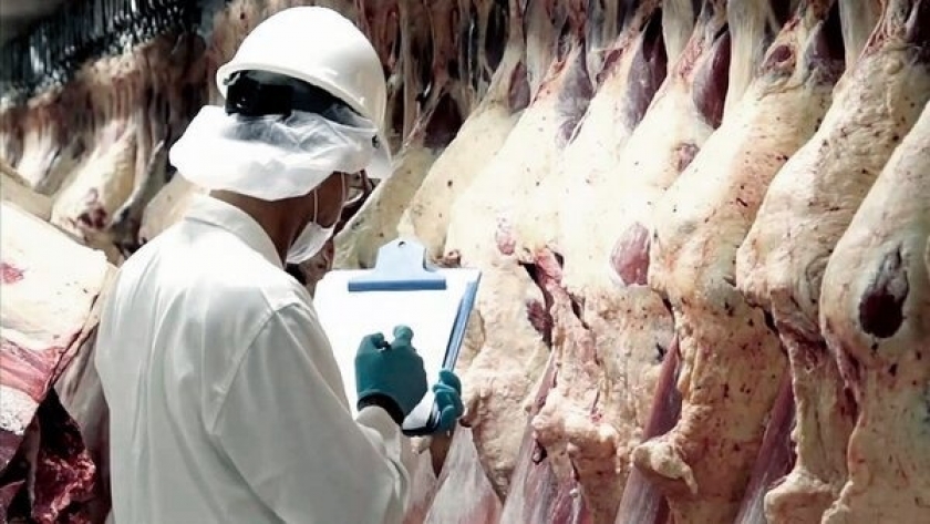 Nuevo registro para la exportación de carne