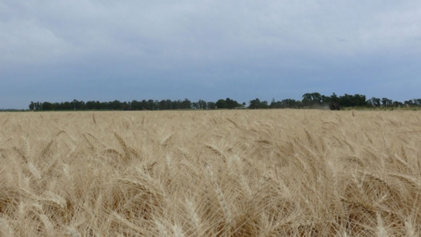 El MDA presentó la oferta exportable del agro bonaerense