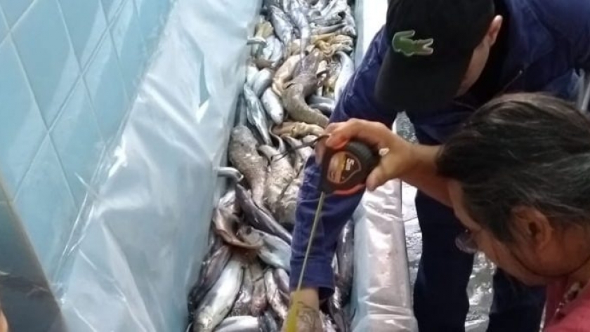Capacitan a nuevos observadores e inspectores de pesca