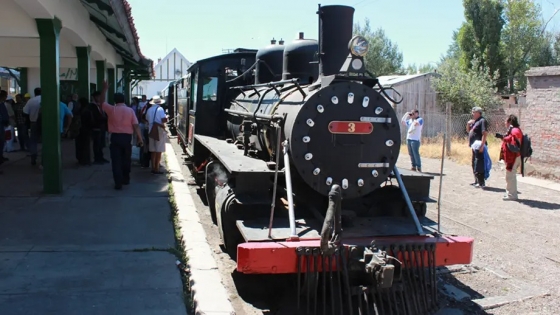 La Trochita: un viaje a bordo de la historia