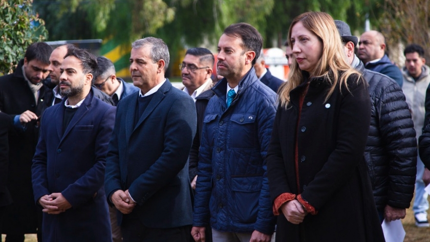 Plantaron un olivo como símbolo de la paz en la semana de la olivicultura