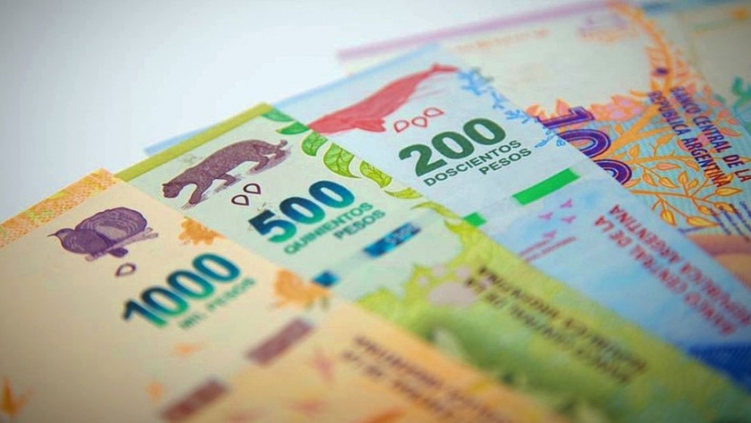 El Gobierno colocó $1.309 millones en la licitación de Letras de Tesorería