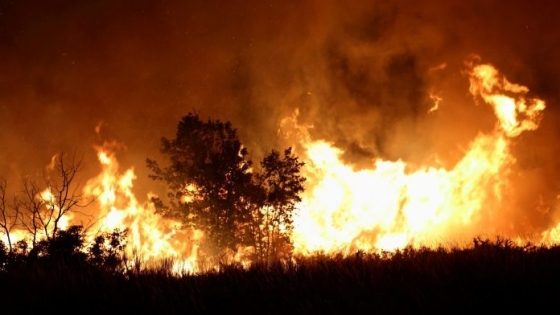 Patagonia en llamas: Sociedad Rural pide que la Justicia encuentre a los responsables