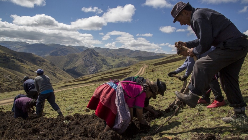 El cambio climático amenaza la agricultura peruana