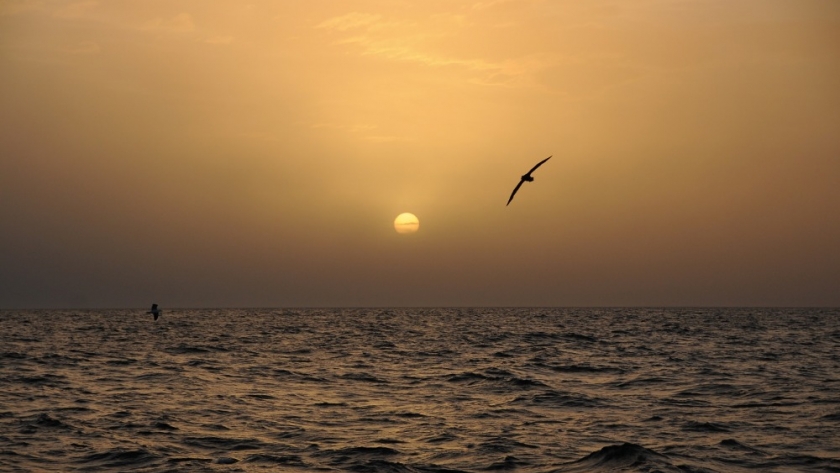 La temperatura del mar promedió 20,1 grados durante marzo